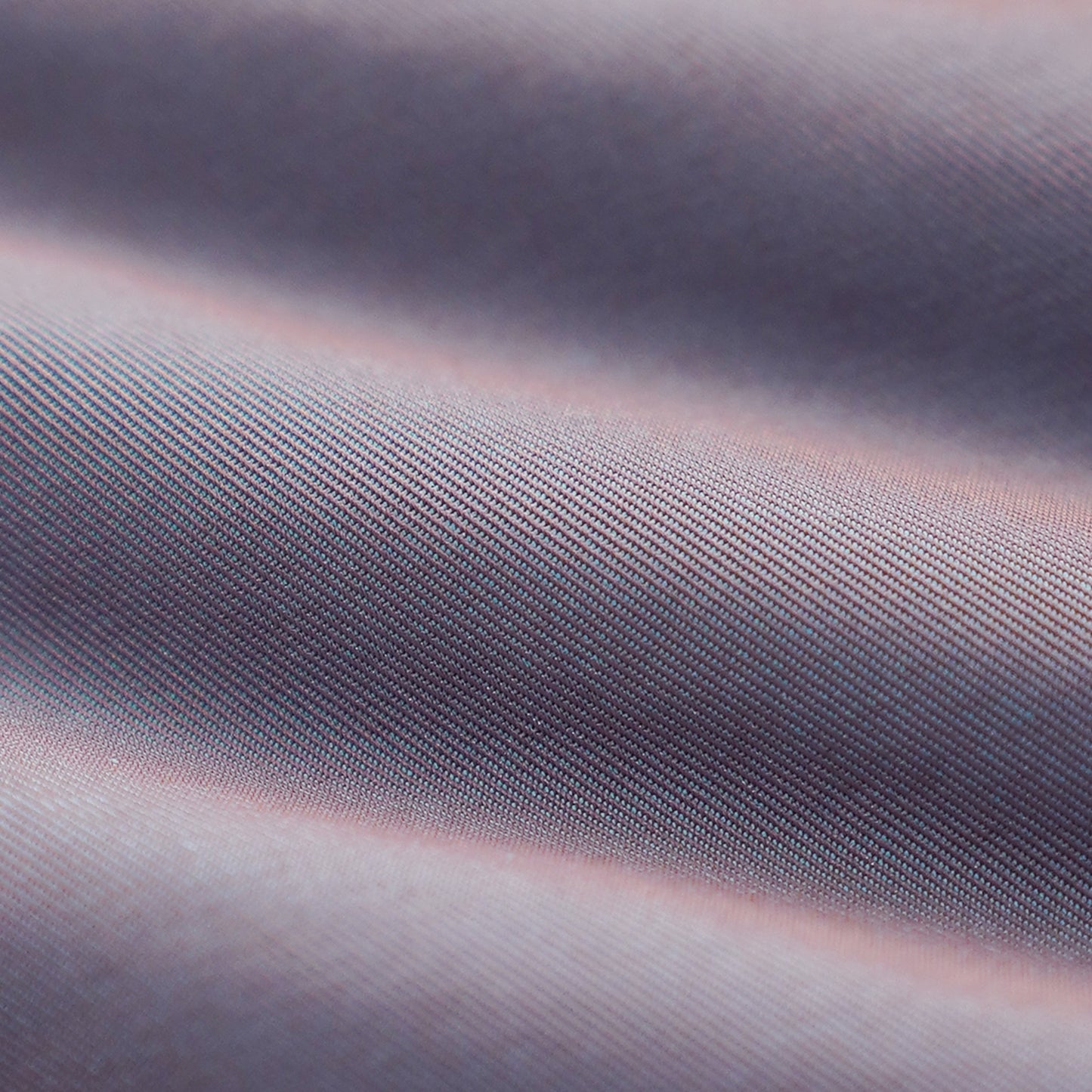 PERIWINKLE