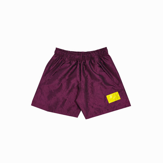 BOYSENBERRY