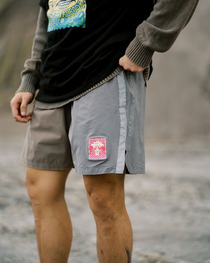 THE x SP SHORTS IN TAUPE/DARKGREY